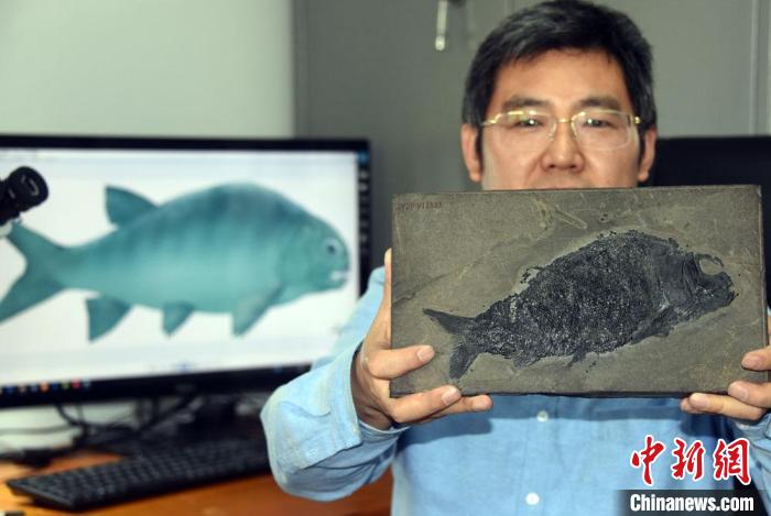 2.44亿年前的“盘州暴鱼”：“粗犷凌厉”且“凶狠”
