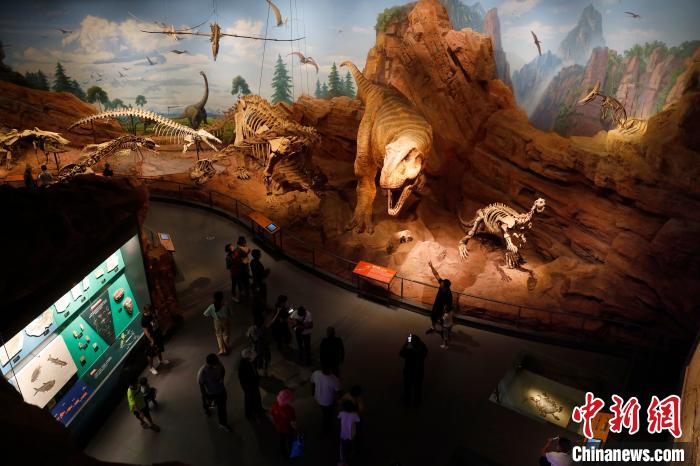 云南玉溪用“黑科技”展示亚洲唯一化石类世界遗产