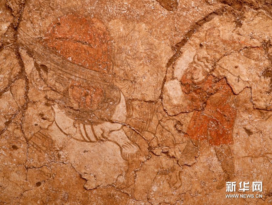 陕西发现罕见唐墓壁画