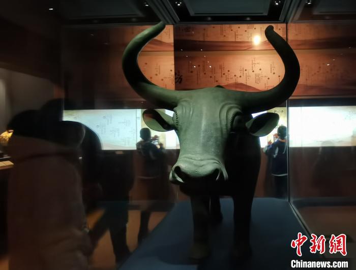 甘肃省博物馆牛年“耕”牛：民众不再游客式“打卡”