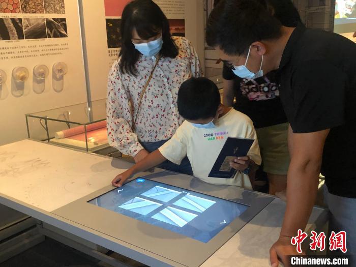 从文物到“活物”，“黑”科技如何助力博物馆“炫”起来？
