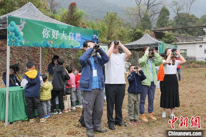 广东南岭发现“鸟中大熊猫”中华秋沙鸭
