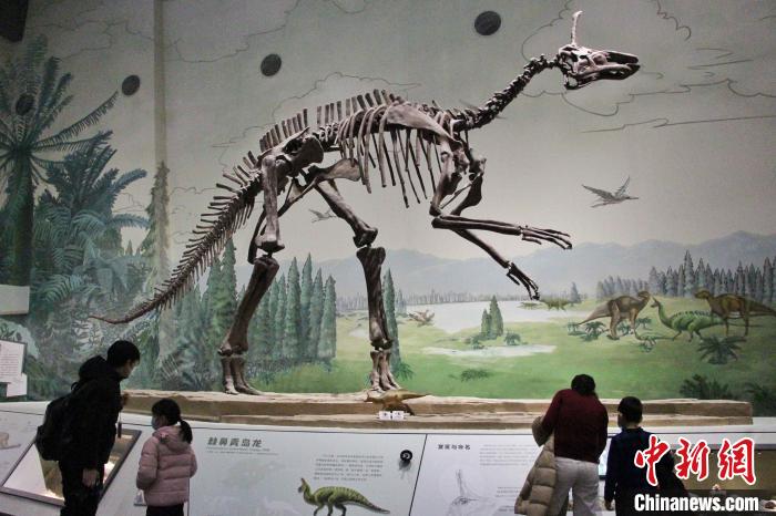 “巨型山东龙”亮相山东白垩纪恐龙展